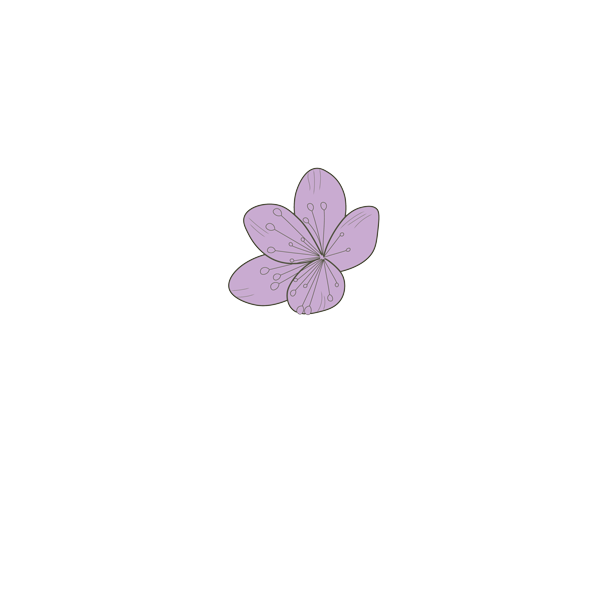 Chalés dos Manacás